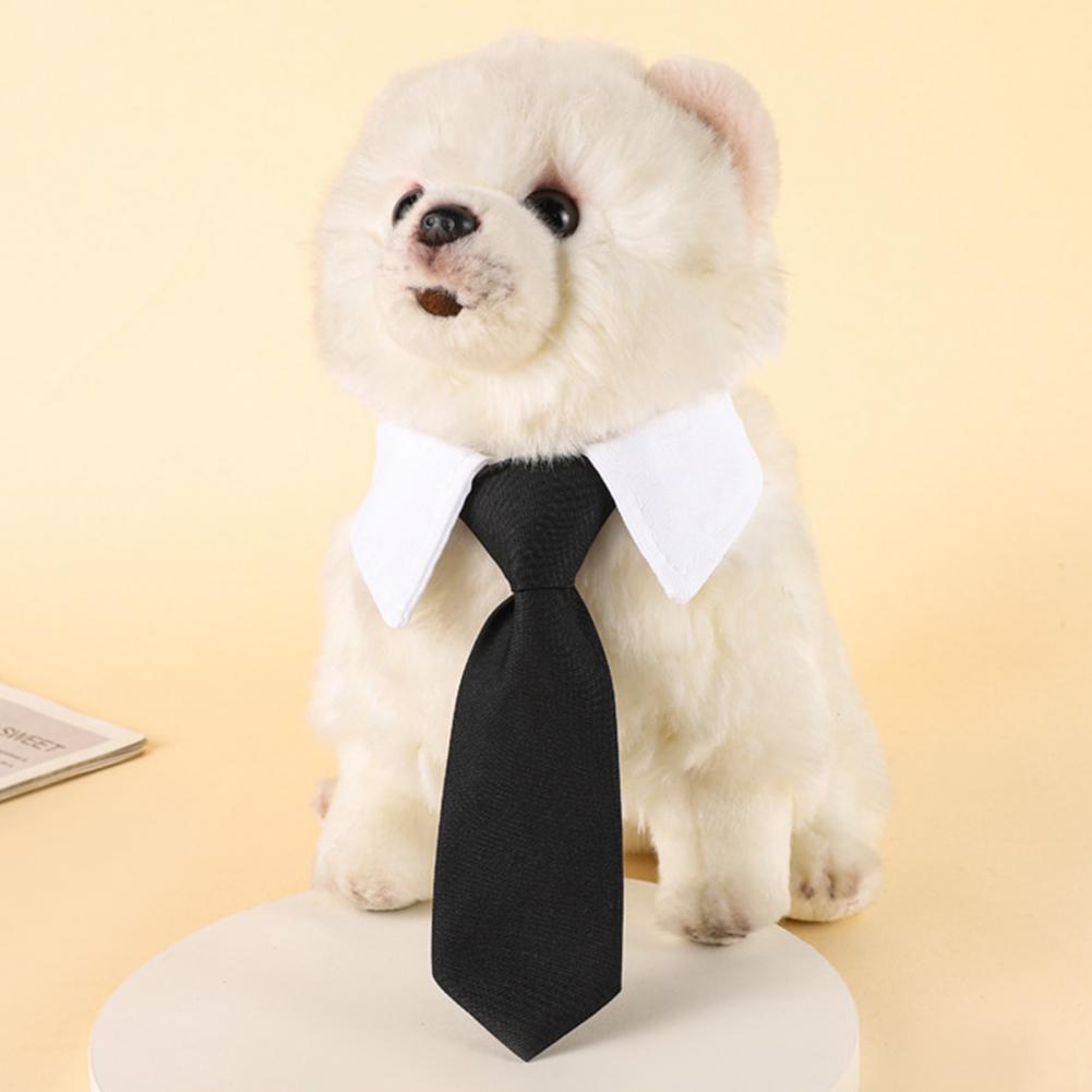 13-27cm 정장 강아지 턱시도 넥타이 조절 가능한  - Suitsupply Wedding Tuxedo 리뷰 및 가격