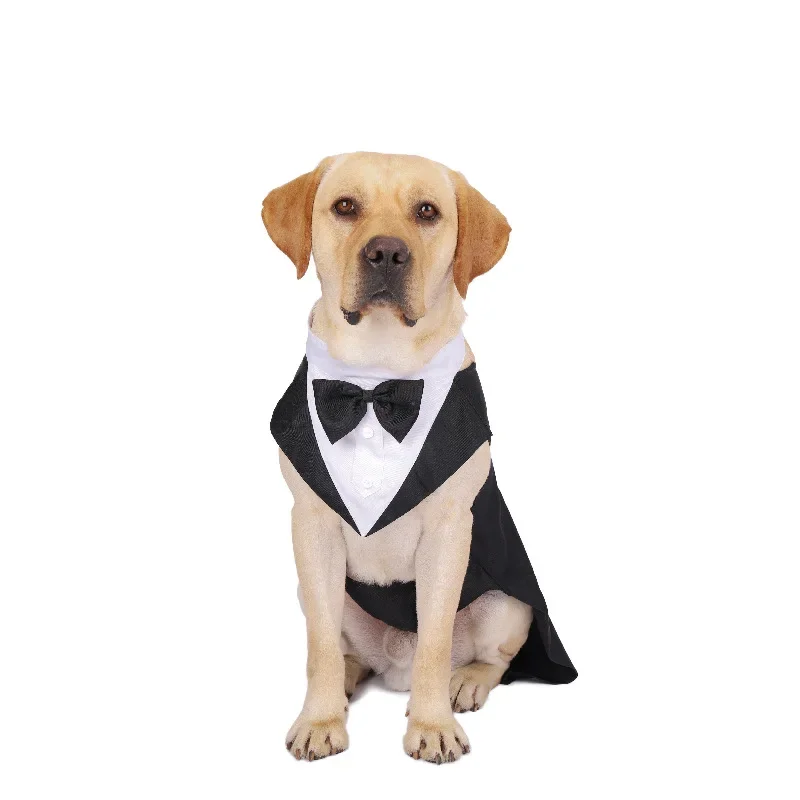 반려견 의류 웨딩 셔츠 패션 파티 쇼 정장 넥타이 보타 - Suitsupply Wedding Tuxedo 리뷰 및 가격