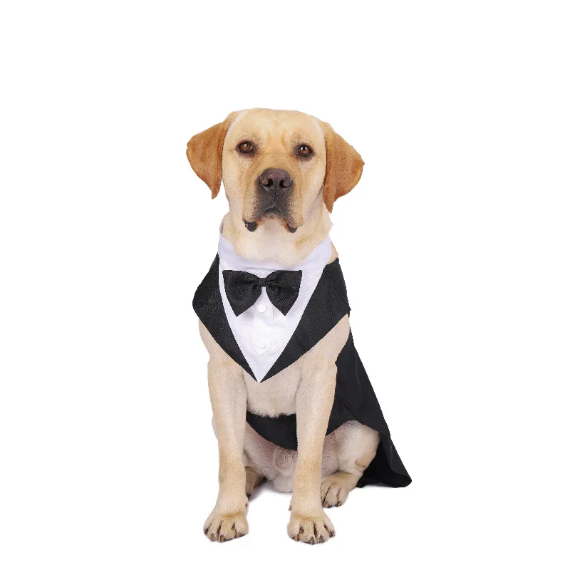 애완 동물 강아지 옷 패션 파티 쇼 정장 양복 넥타이  - Suitsupply Wedding Tuxedo 리뷰 및 가격